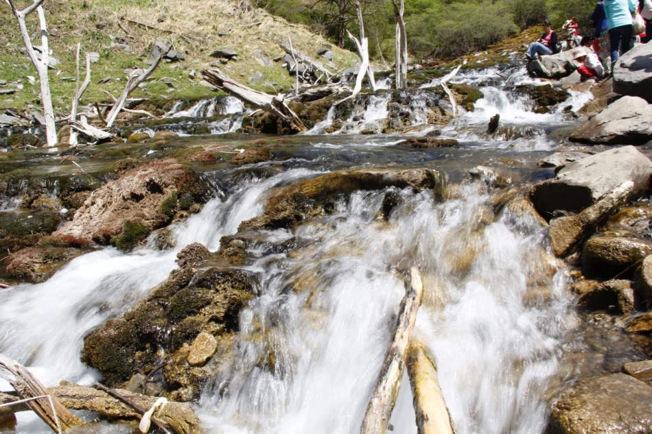 1430671980658847.jpg?x-oss-process=image/auto-orient,1/interlace,1/resize,m_lfit,w_826/quality,q_90