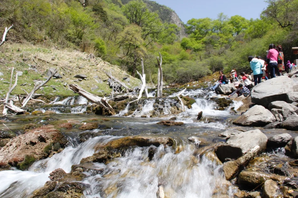 1430671982552511.jpg?x-oss-process=image/auto-orient,1/interlace,1/resize,m_lfit,w_826/quality,q_90