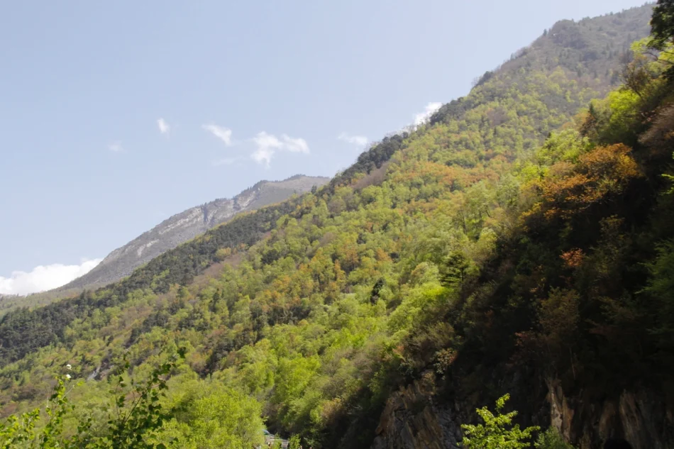 1430671982639861.jpg?x-oss-process=image/auto-orient,1/interlace,1/resize,m_lfit,w_826/quality,q_90