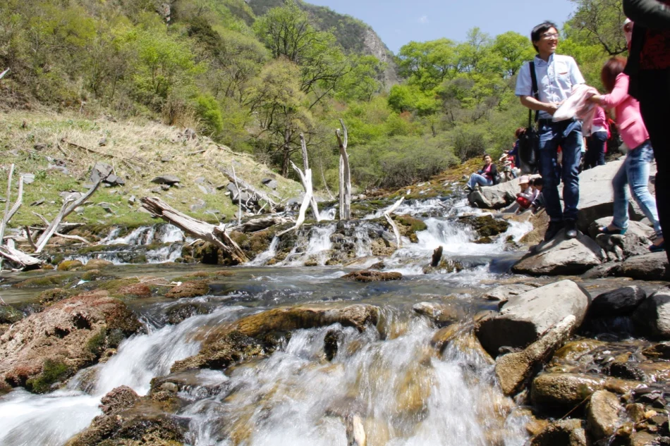 1430671987275709.jpg?x-oss-process=image/auto-orient,1/interlace,1/resize,m_lfit,w_826/quality,q_90