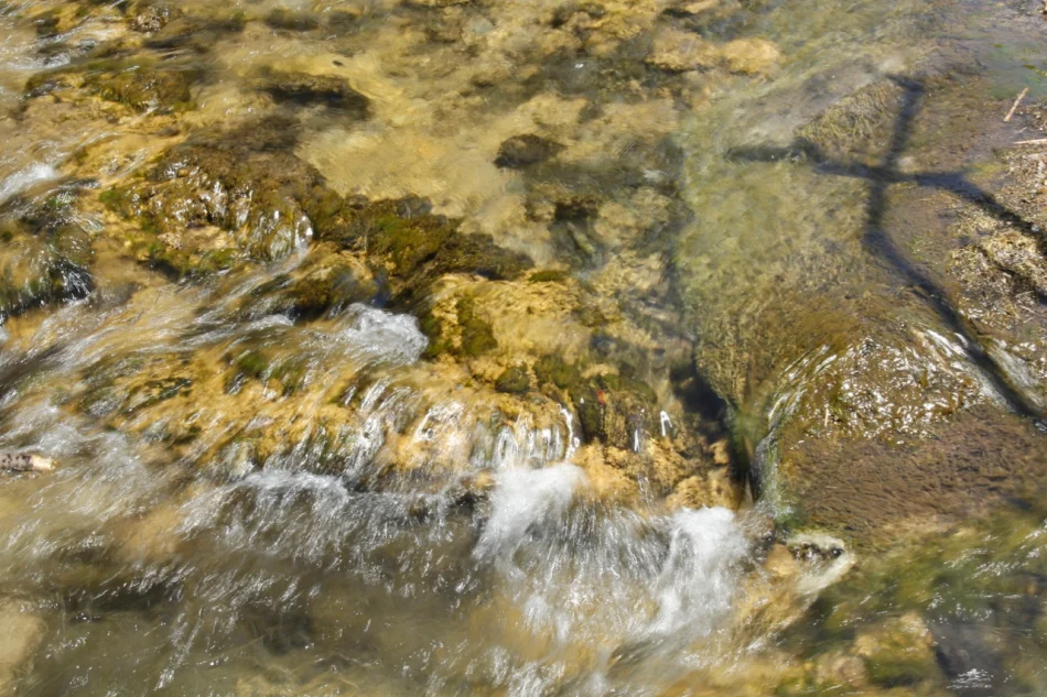 1430671987971354.jpg?x-oss-process=image/auto-orient,1/interlace,1/resize,m_lfit,w_826/quality,q_90