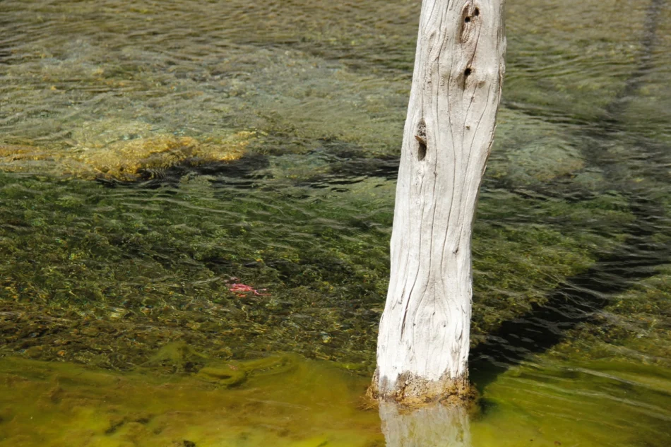 1430671988401037.jpg?x-oss-process=image/auto-orient,1/interlace,1/resize,m_lfit,w_826/quality,q_90