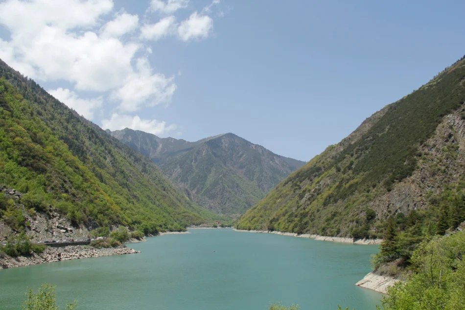 1430671995543044.jpg?x-oss-process=image/auto-orient,1/interlace,1/resize,m_lfit,w_826/quality,q_90