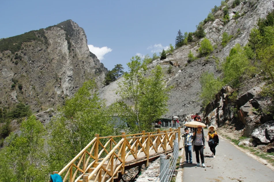 1430671995957571.jpg?x-oss-process=image/auto-orient,1/interlace,1/resize,m_lfit,w_826/quality,q_90