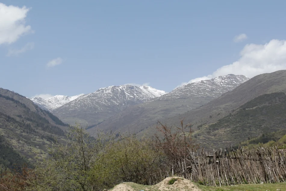 1430671998411384.jpg?x-oss-process=image/auto-orient,1/interlace,1/resize,m_lfit,w_826/quality,q_90