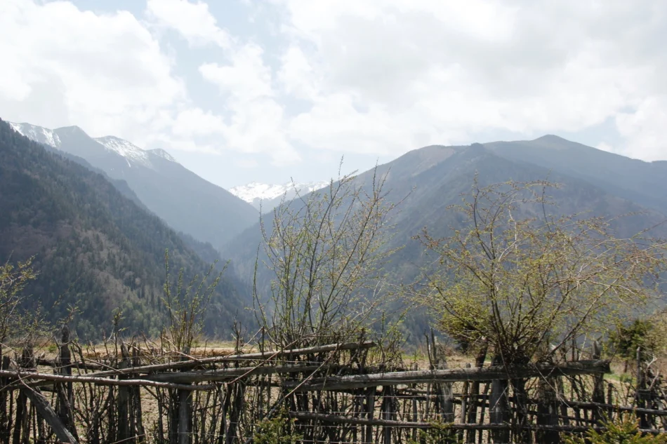 1430672002331666.jpg?x-oss-process=image/auto-orient,1/interlace,1/resize,m_lfit,w_826/quality,q_90