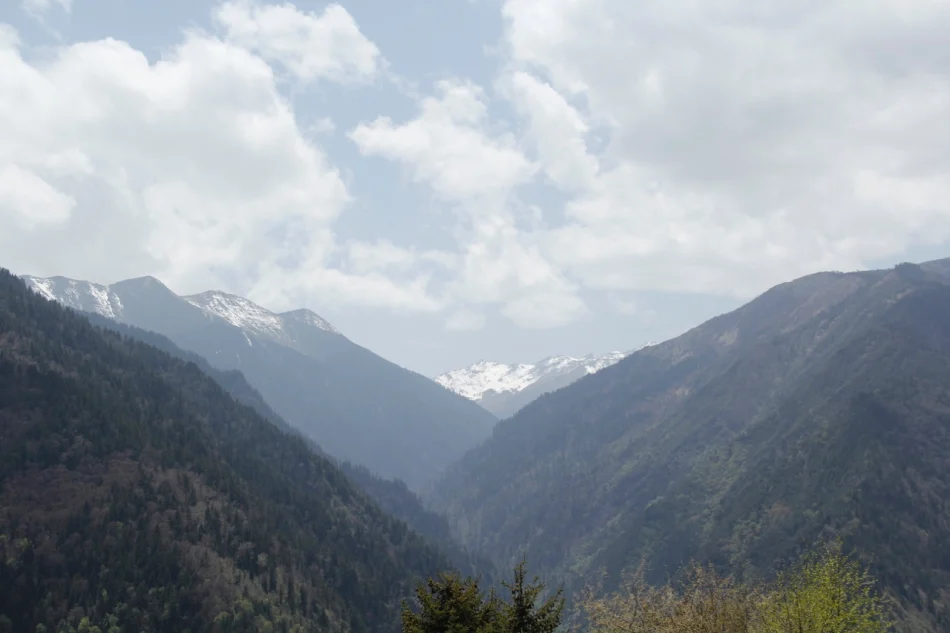 1430672004216031.jpg?x-oss-process=image/auto-orient,1/interlace,1/resize,m_lfit,w_826/quality,q_90