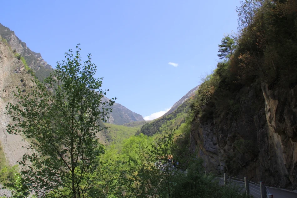 1430672010442683.jpg?x-oss-process=image/auto-orient,1/interlace,1/resize,m_lfit,w_826/quality,q_90