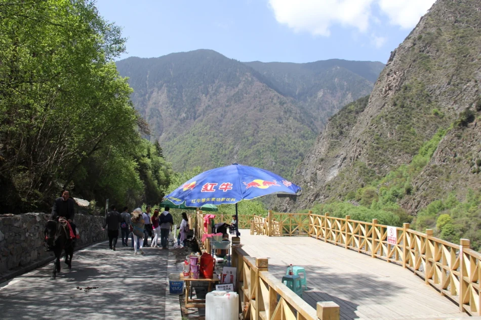 1430672012830372.jpg?x-oss-process=image/auto-orient,1/interlace,1/resize,m_lfit,w_826/quality,q_90