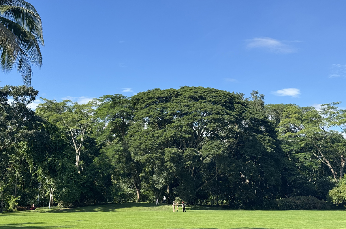 5002109.jpg 5002109.jpg