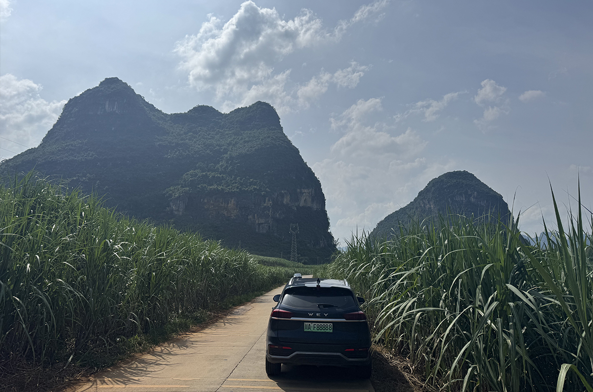 51025002109.jpg 51025002109.jpg